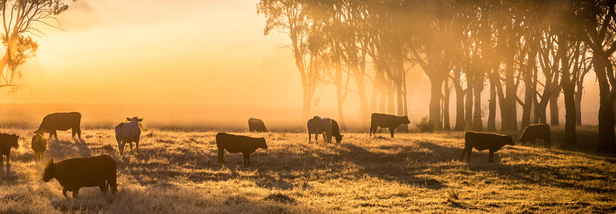 Playzone Gcash Login